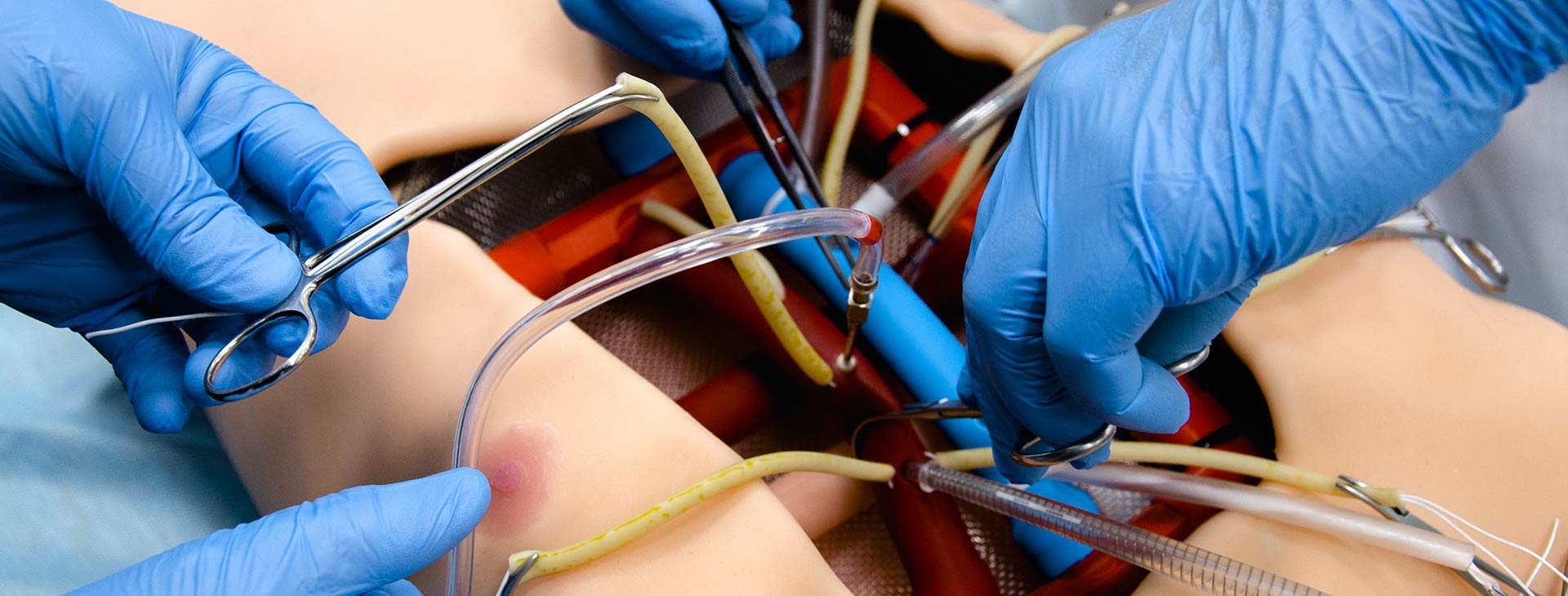 心肺轉(zhuǎn)流術(shù)虛擬<br>現(xiàn)實(shí)模擬器