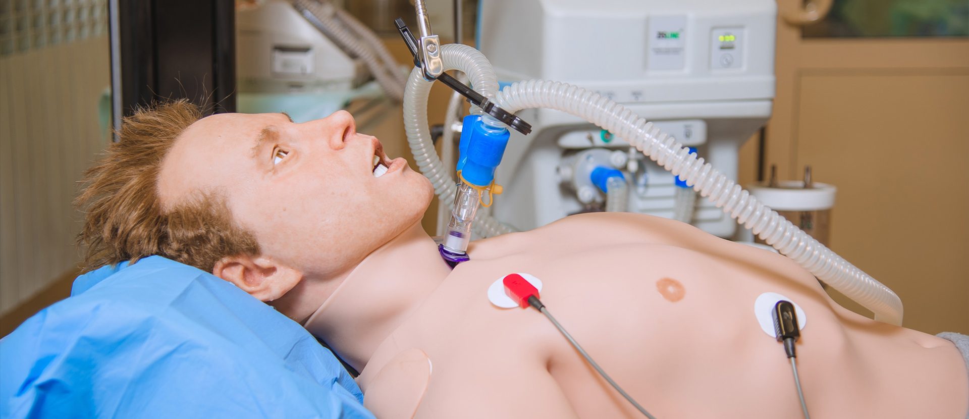 Leonardo里奧大叔