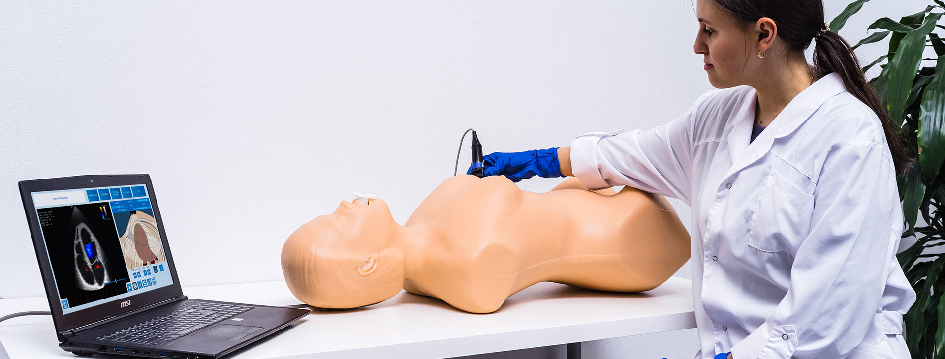 超聲診斷虛擬<br>現(xiàn)實(shí)模擬器