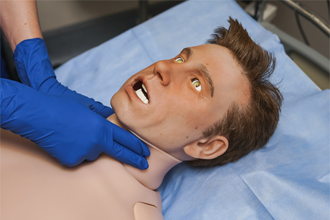 脈搏觸診(12點(diǎn))