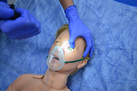 獨(dú)立的瞳孔光線反射