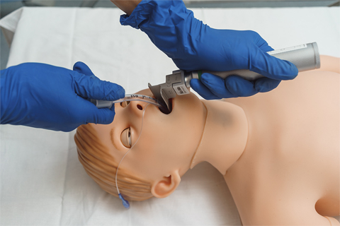 解剖學(xué)應(yīng)用精確標(biāo)識(shí)