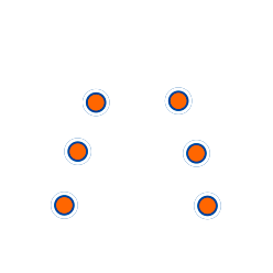 肺部聽診(后側(cè))