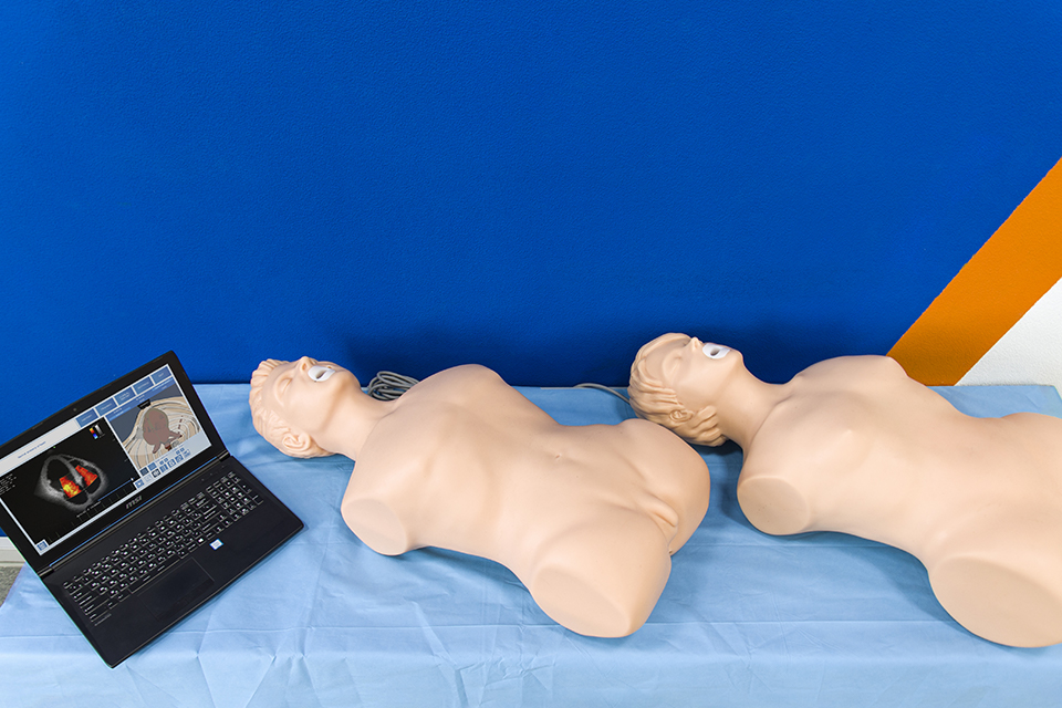 解剖學(xué)應(yīng)用上最仿真的模擬軀干和頭部 和逼真的超聲探頭模擬器是該模擬器的重要組成部分。